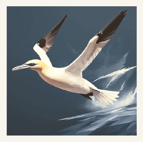 Minimalist geometric gannet greeting card