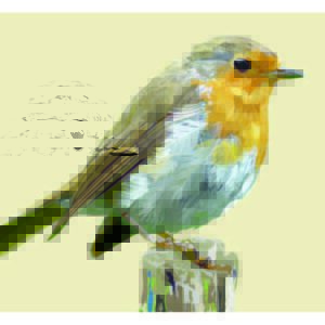 Minimalist Map of a Robin art print